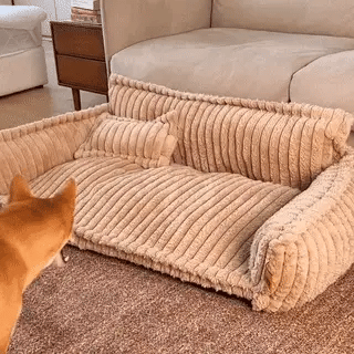 Lit orthopédique premium lavable pour chien – Rêve Douillet